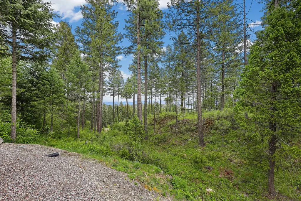 156 Goldenview Lane Lakeside MT 59922