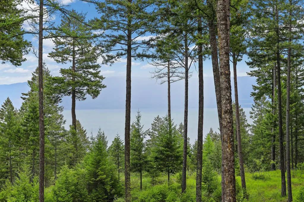 156 Goldenview Lane Lakeside MT 59922