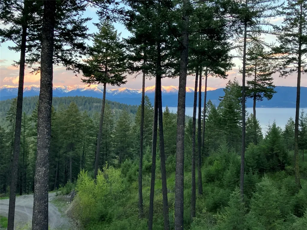 156 Goldenview Lane Lakeside MT 59922