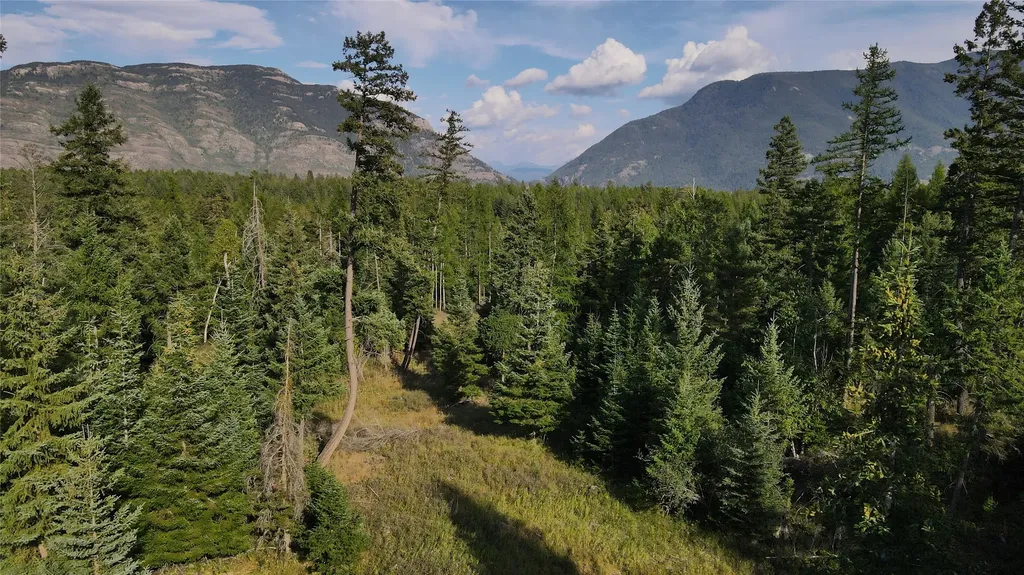 1019 Larch Ridge Trail Columbia Falls MT 59912