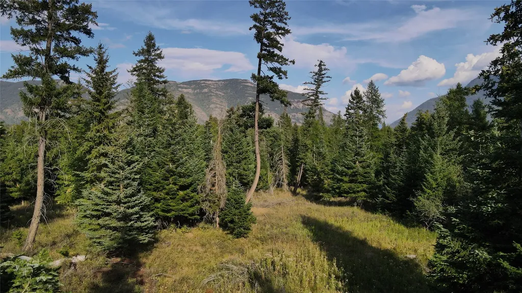 1019 Larch Ridge Trail Columbia Falls MT 59912