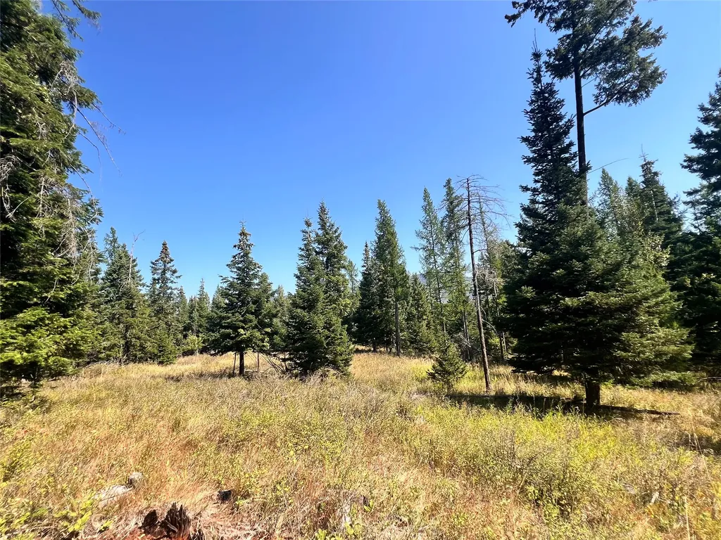 1019 Larch Ridge Trail Columbia Falls MT 59912