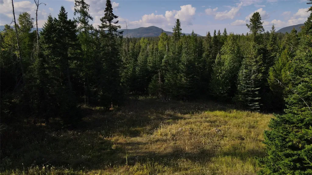 1019 Larch Ridge Trail Columbia Falls MT 59912
