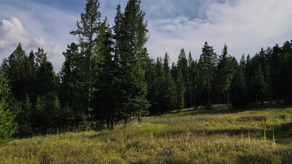 1019 Larch Ridge Trail Columbia Falls MT 59912