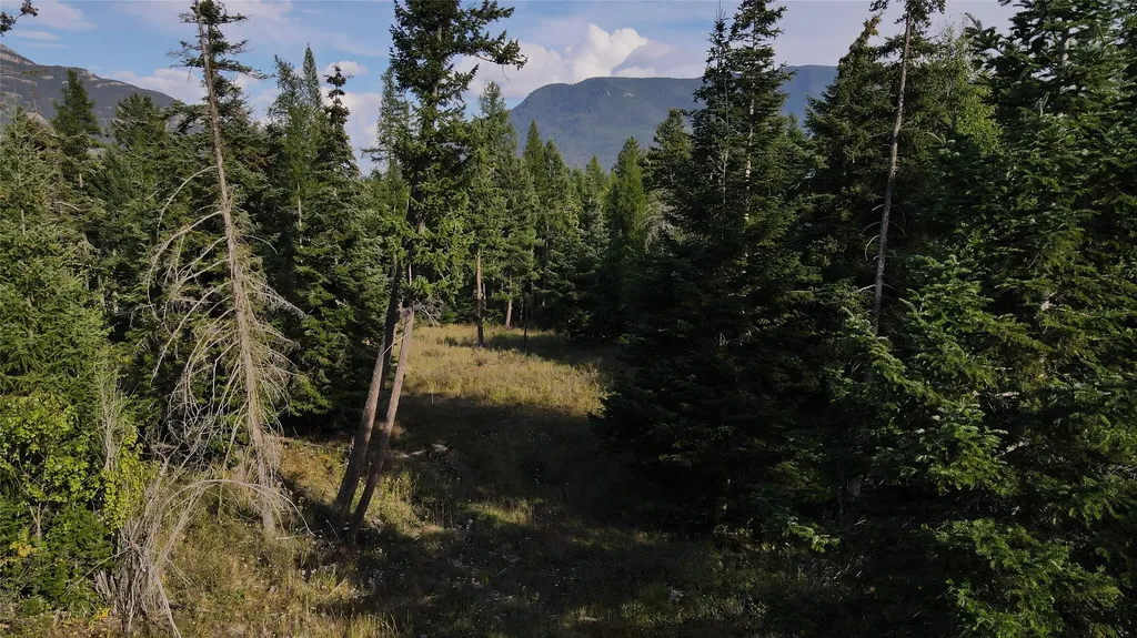 1019 Larch Ridge Trail Columbia Falls MT 59912