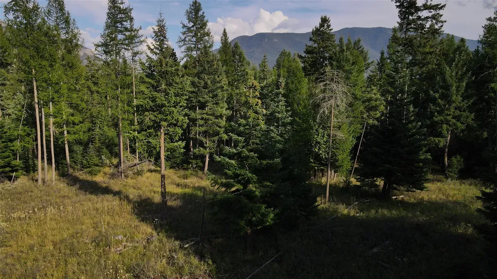 1019 Larch Ridge Trail Columbia Falls MT 59912