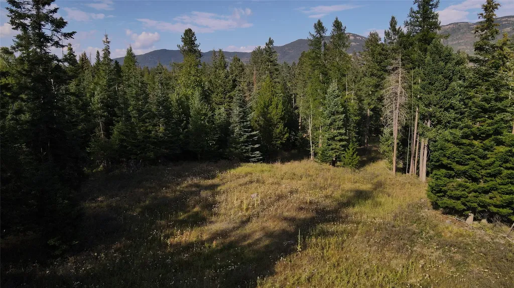 1019 Larch Ridge Trail Columbia Falls MT 59912