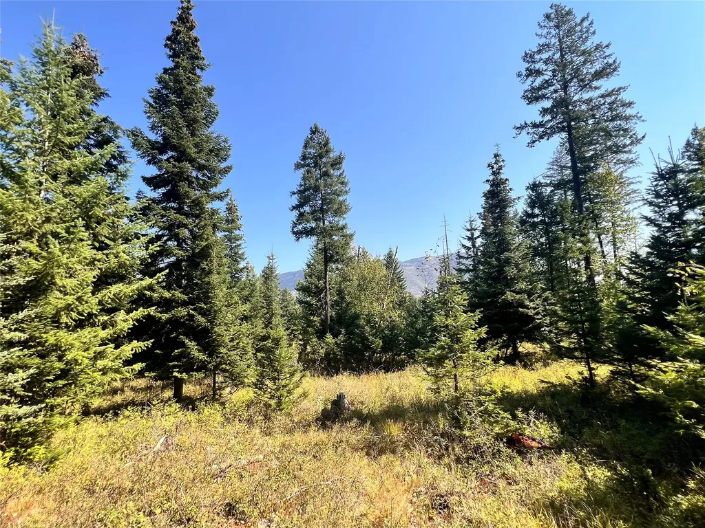 1019 Larch Ridge Trail Columbia Falls MT 59912