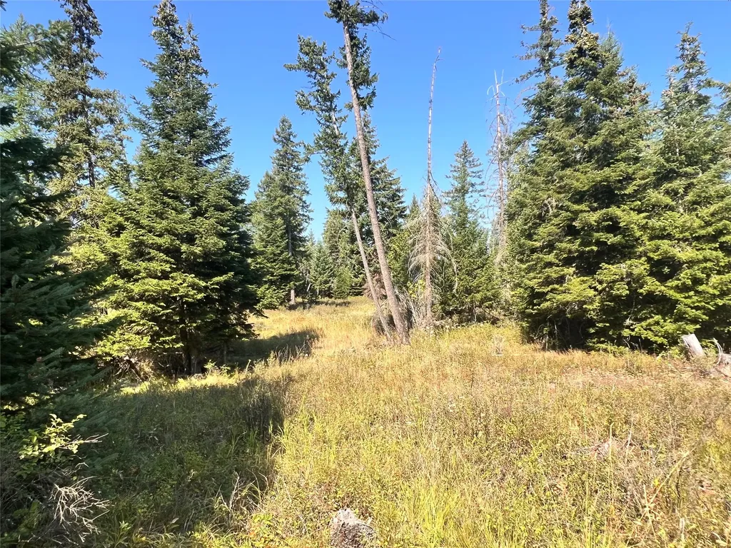1019 Larch Ridge Trail Columbia Falls MT 59912