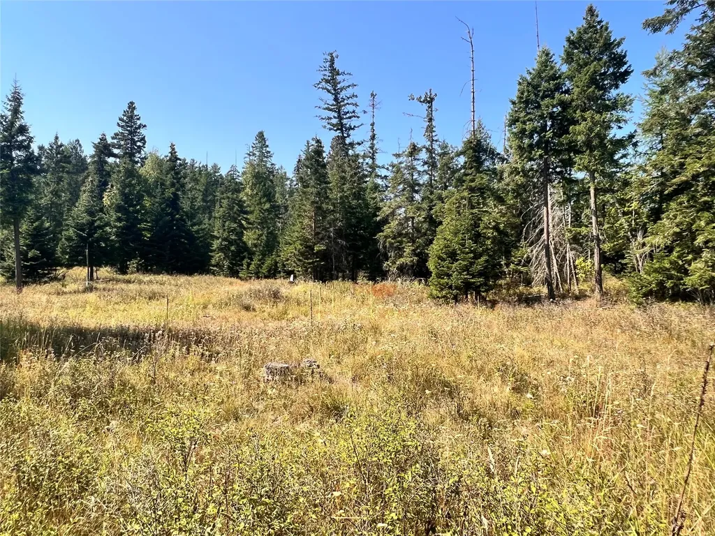 1019 Larch Ridge Trail Columbia Falls MT 59912