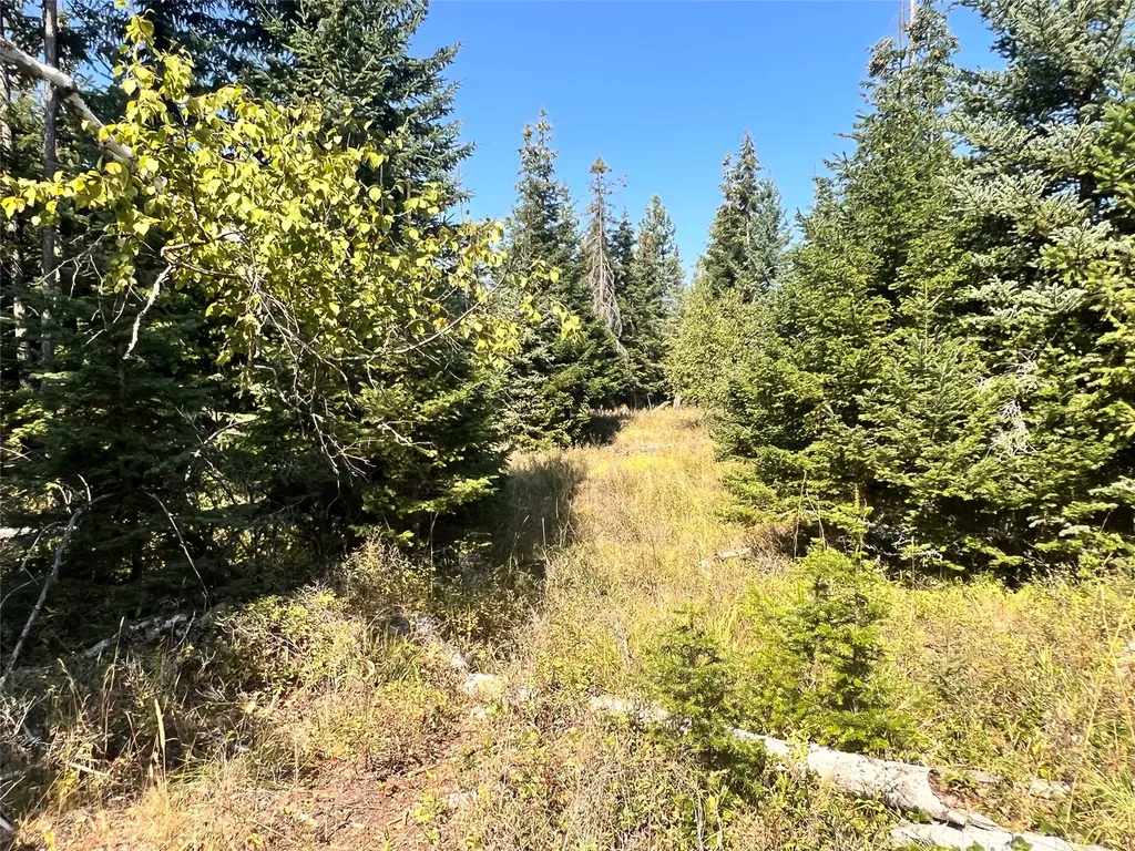 1019 Larch Ridge Trail Columbia Falls MT 59912