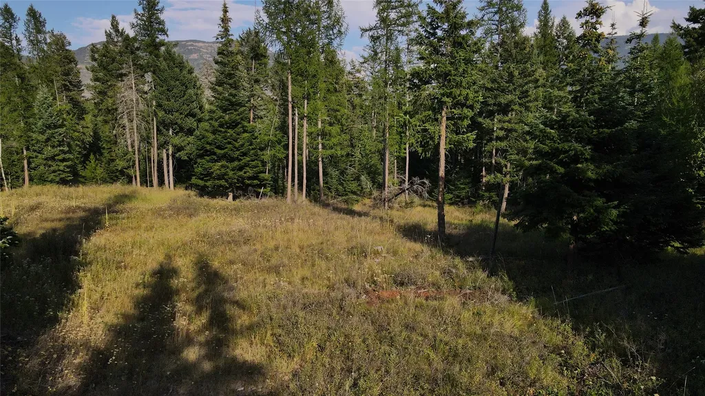 1019 Larch Ridge Trail Columbia Falls MT 59912