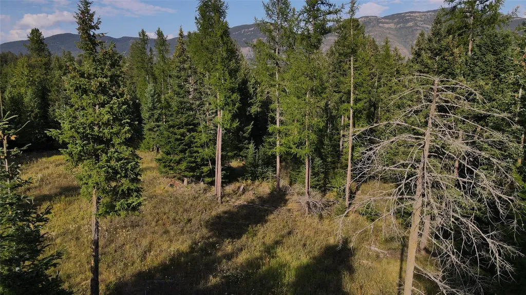 1019 Larch Ridge Trail Columbia Falls MT 59912