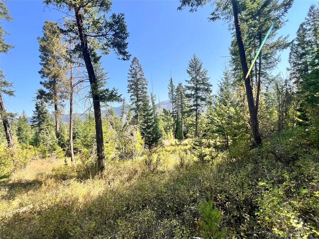 1019 Larch Ridge Trail Columbia Falls MT 59912