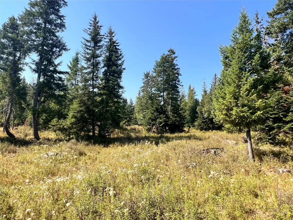 1019 Larch Ridge Trail Columbia Falls MT 59912