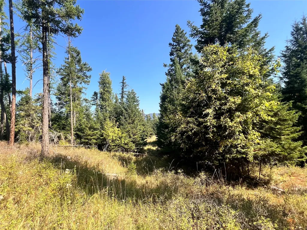1019 Larch Ridge Trail Columbia Falls MT 59912