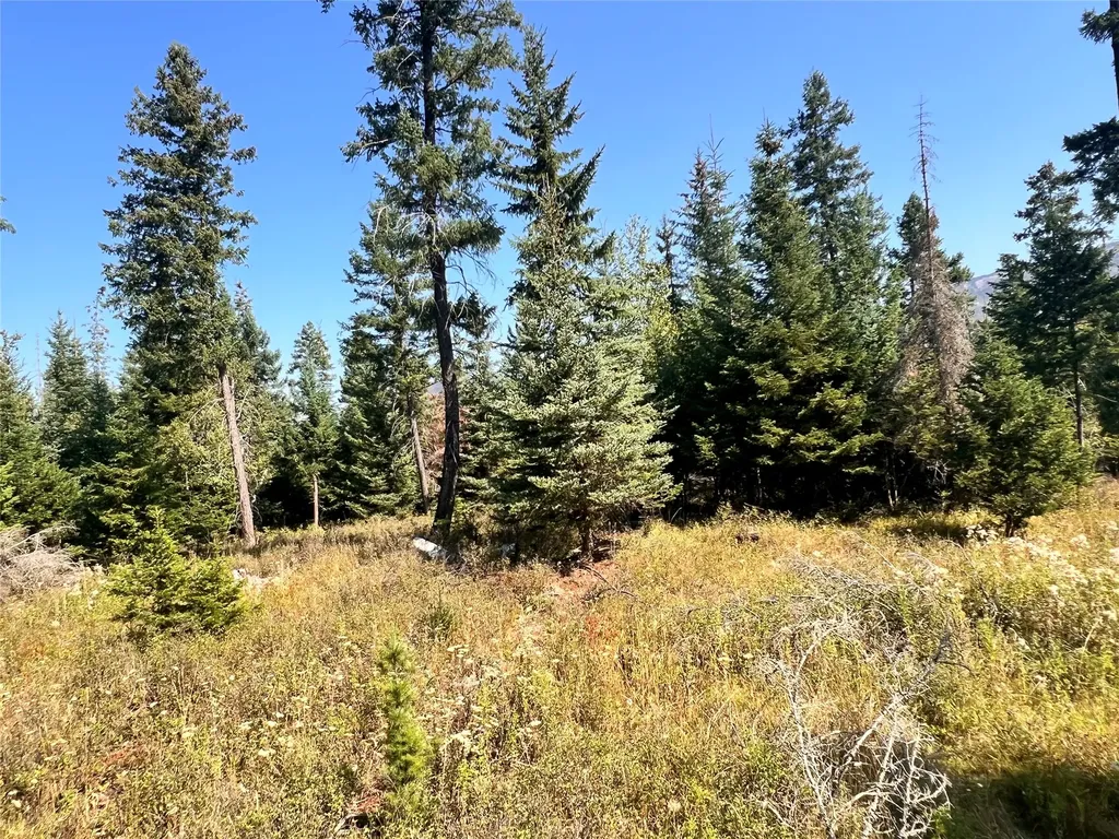 1019 Larch Ridge Trail Columbia Falls MT 59912
