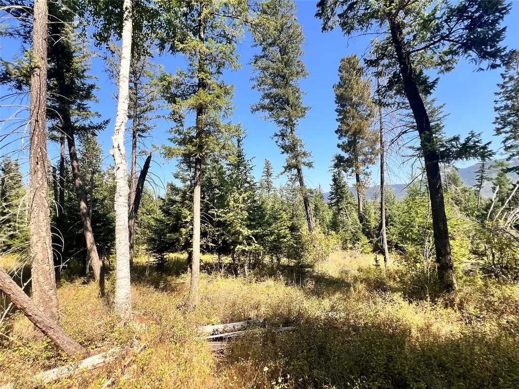 1019 Larch Ridge Trail Columbia Falls MT 59912