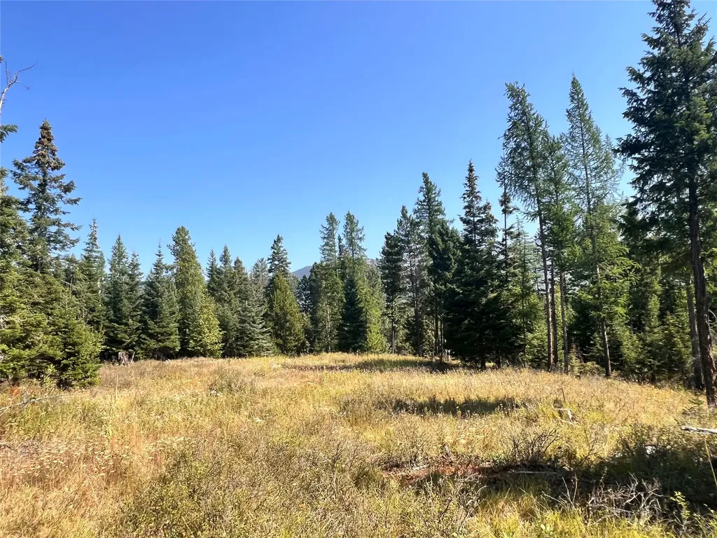 1019 Larch Ridge Trail Columbia Falls MT 59912