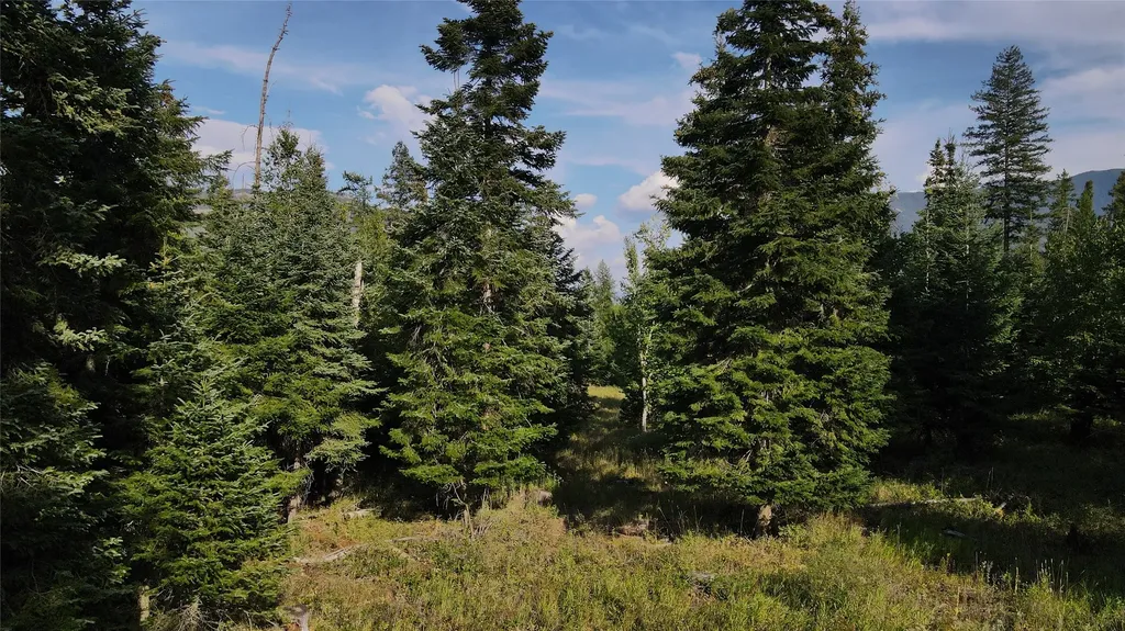 1019 Larch Ridge Trail Columbia Falls MT 59912