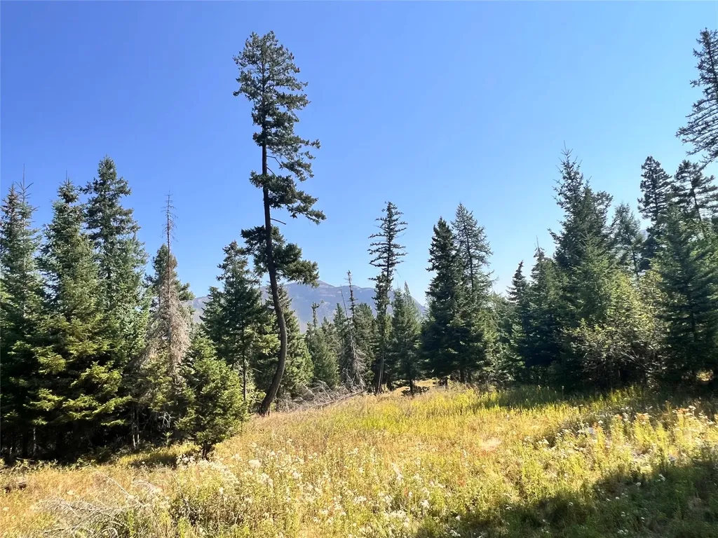 1019 Larch Ridge Trail Columbia Falls MT 59912