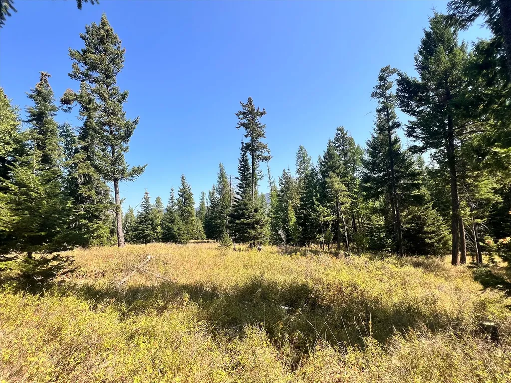 1019 Larch Ridge Trail Columbia Falls MT 59912