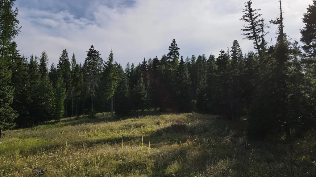 1019 Larch Ridge Trail Columbia Falls MT 59912