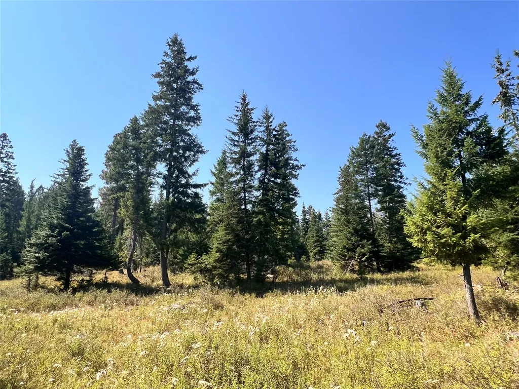 1019 Larch Ridge Trail Columbia Falls MT 59912