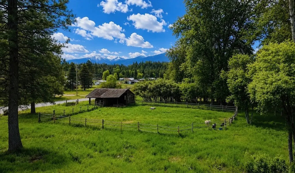 281 Dolphin Way Libby MT 59923