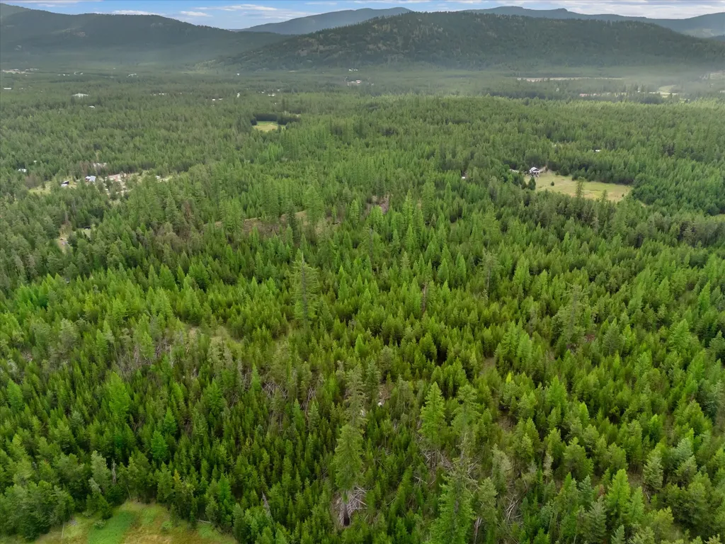 680 Lower Lost Prairie Road Marion MT 59925
