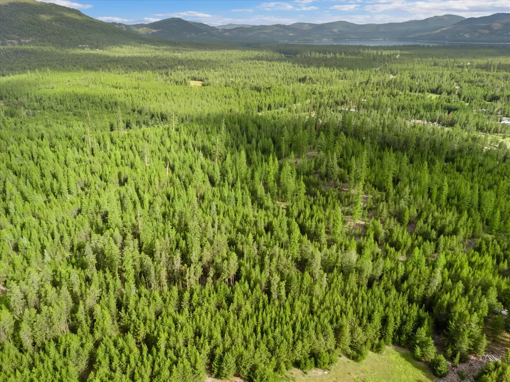 680 Lower Lost Prairie Road Marion MT 59925
