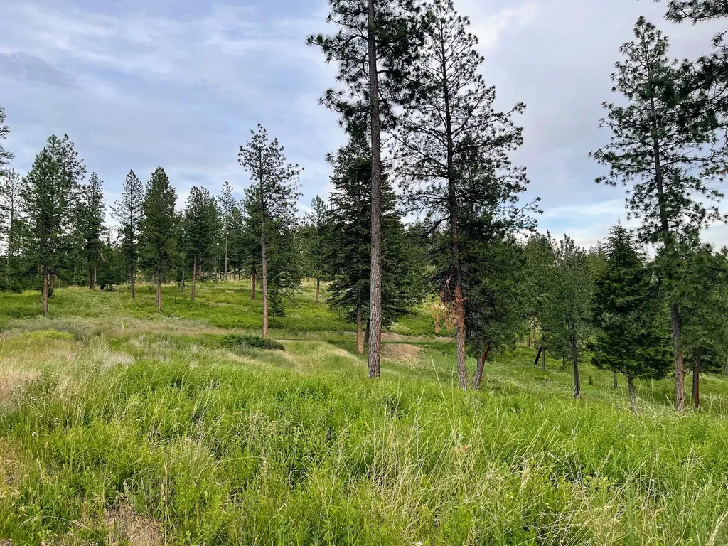 11509 Timber Ridge Lane Missoula MT 59808