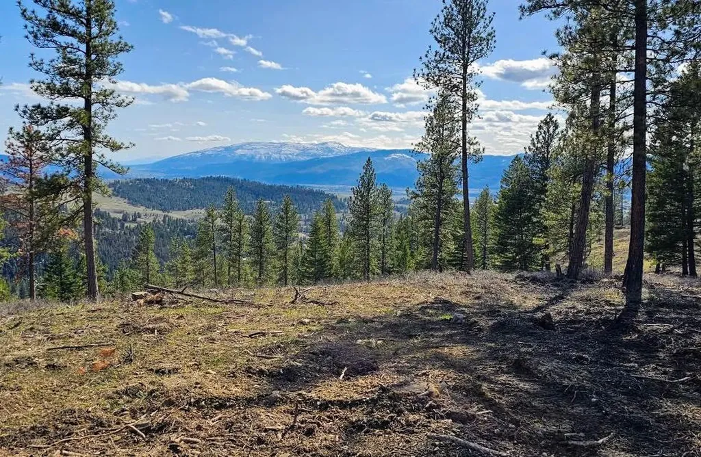 3485 Ridge View Road Missoula MT 59808