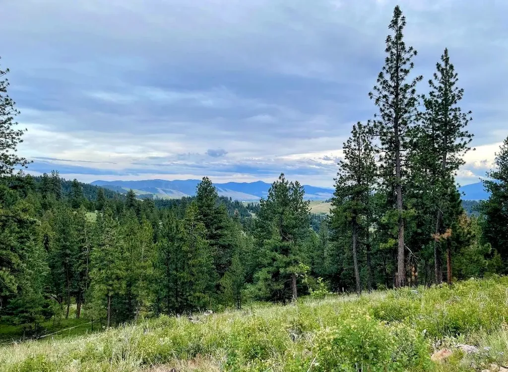 3485 Ridge View Road Missoula MT 59808