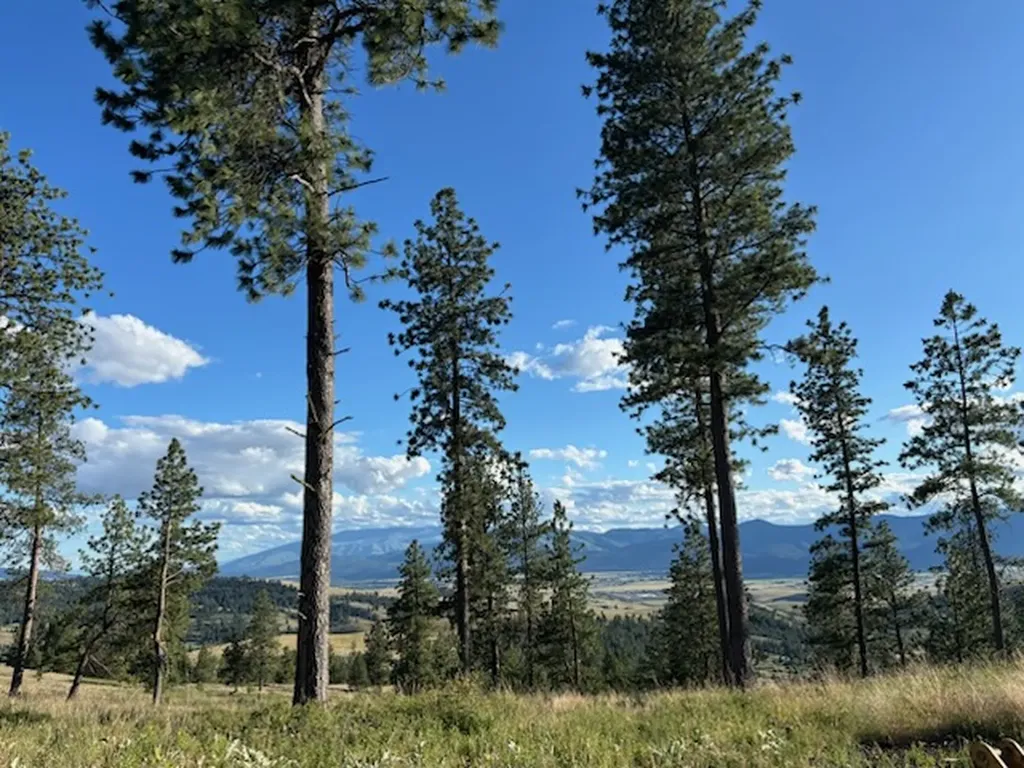 3485 Ridge View Road Missoula MT 59808