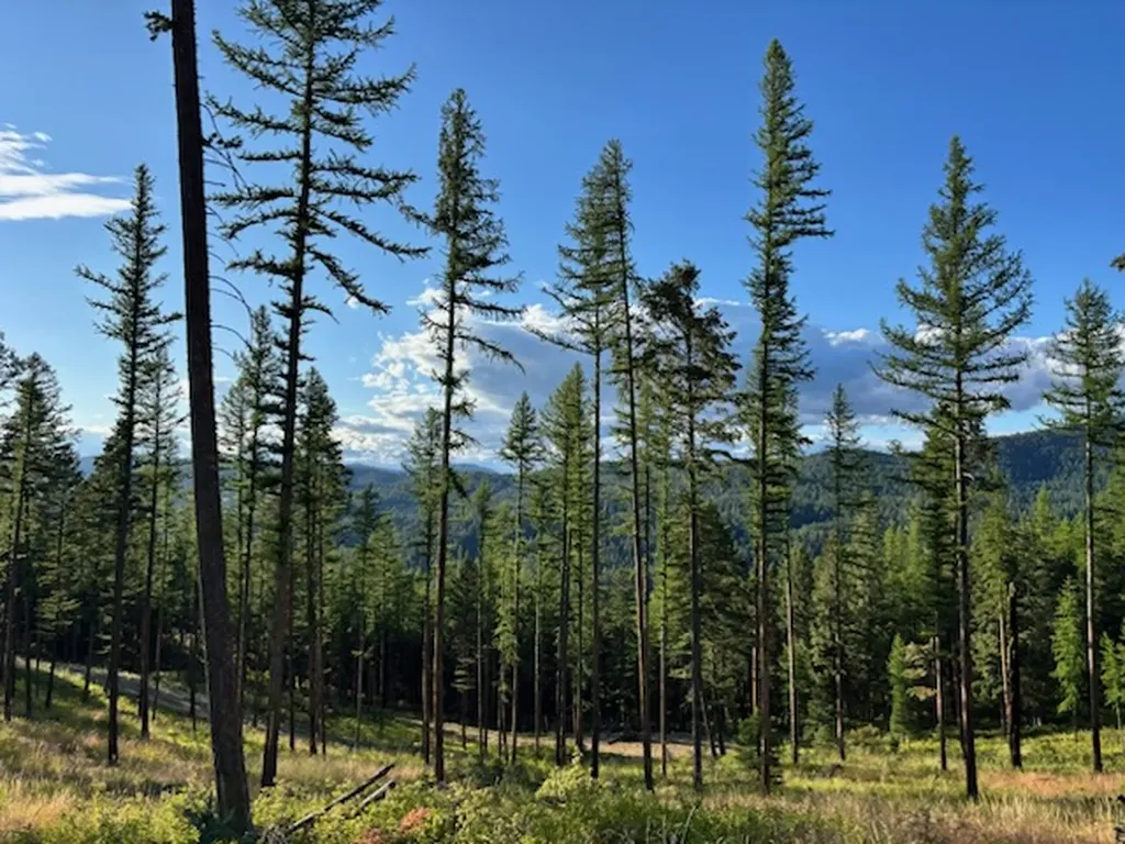 3485 Ridge View Road Missoula MT 59808