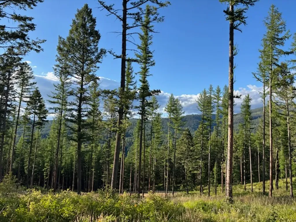 3485 Ridge View Road Missoula MT 59808
