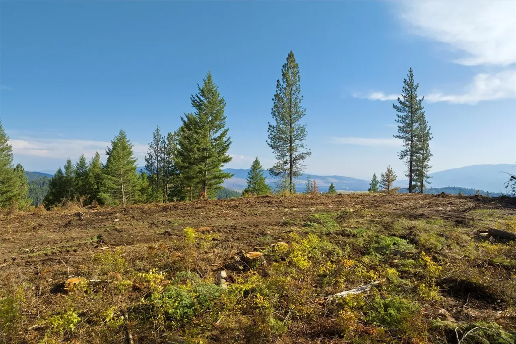 3485 Ridge View Road Missoula MT 59808