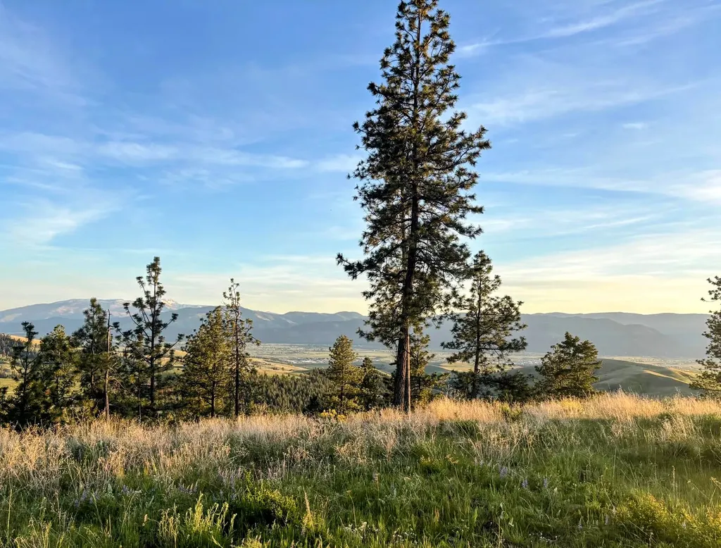 3485 Ridge View Road Missoula MT 59808