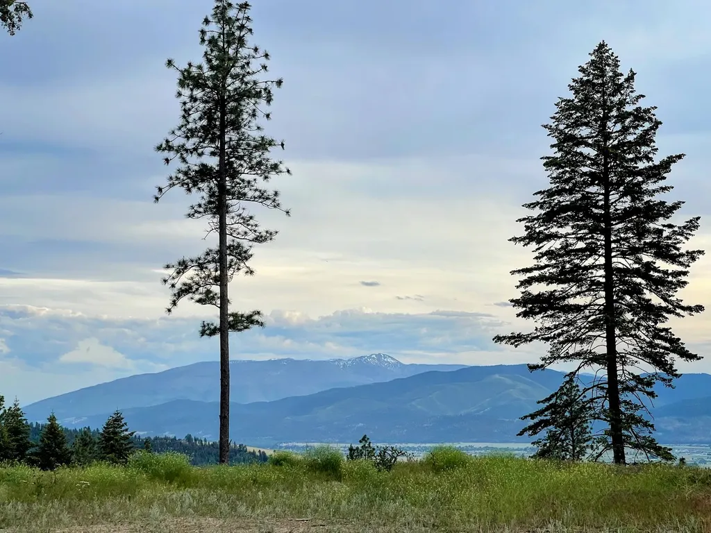 3485 Ridge View Road Missoula MT 59808