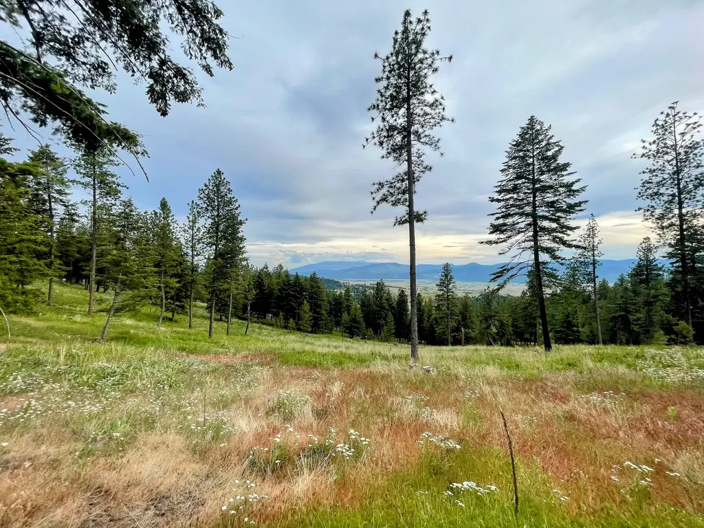 3485 Ridge View Road Missoula MT 59808