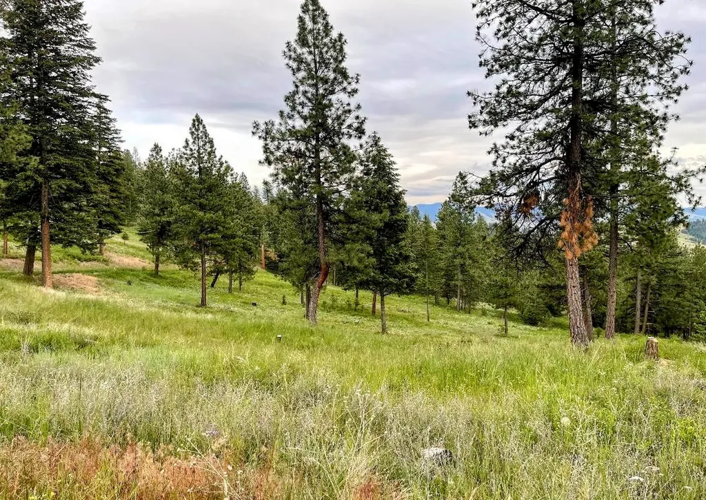 3485 Ridge View Road Missoula MT 59808