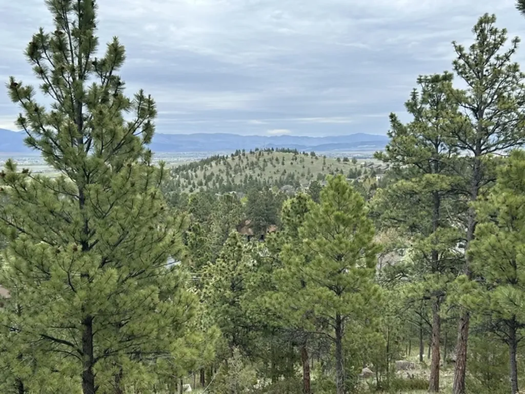 2511 Gold Rush Avenue Helena MT 59601
