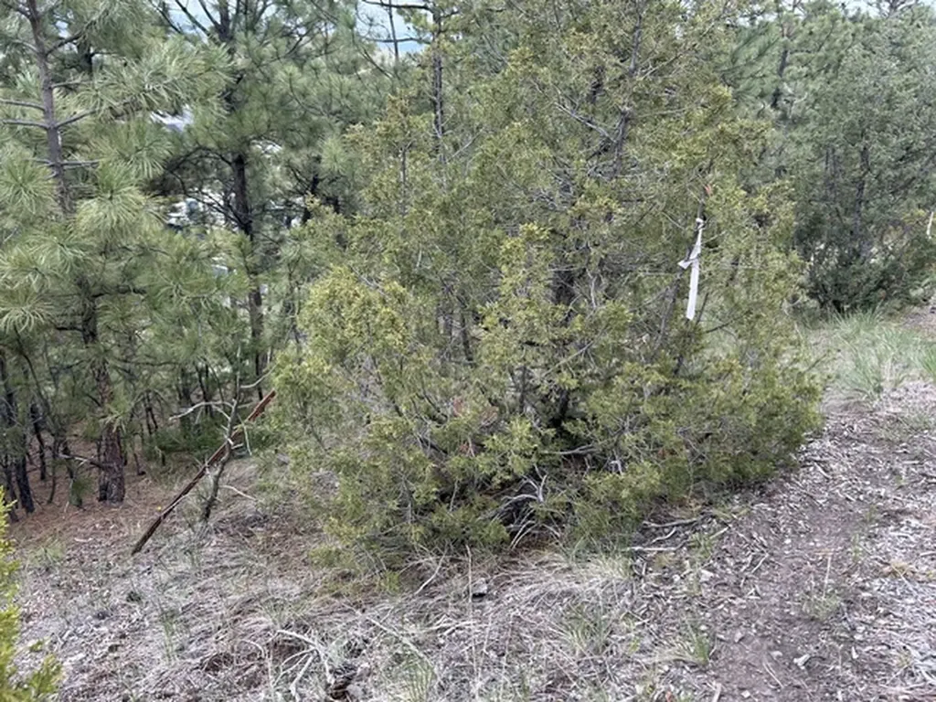 2511 Gold Rush Avenue Helena MT 59601