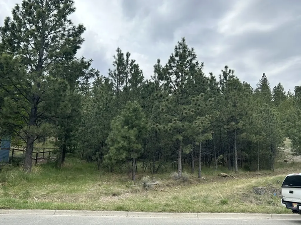 2511 Gold Rush Avenue Helena MT 59601