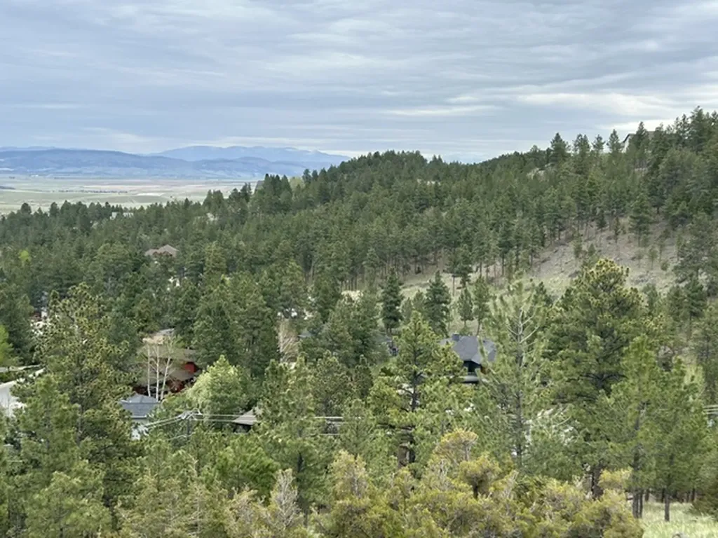 2511 Gold Rush Avenue Helena MT 59601