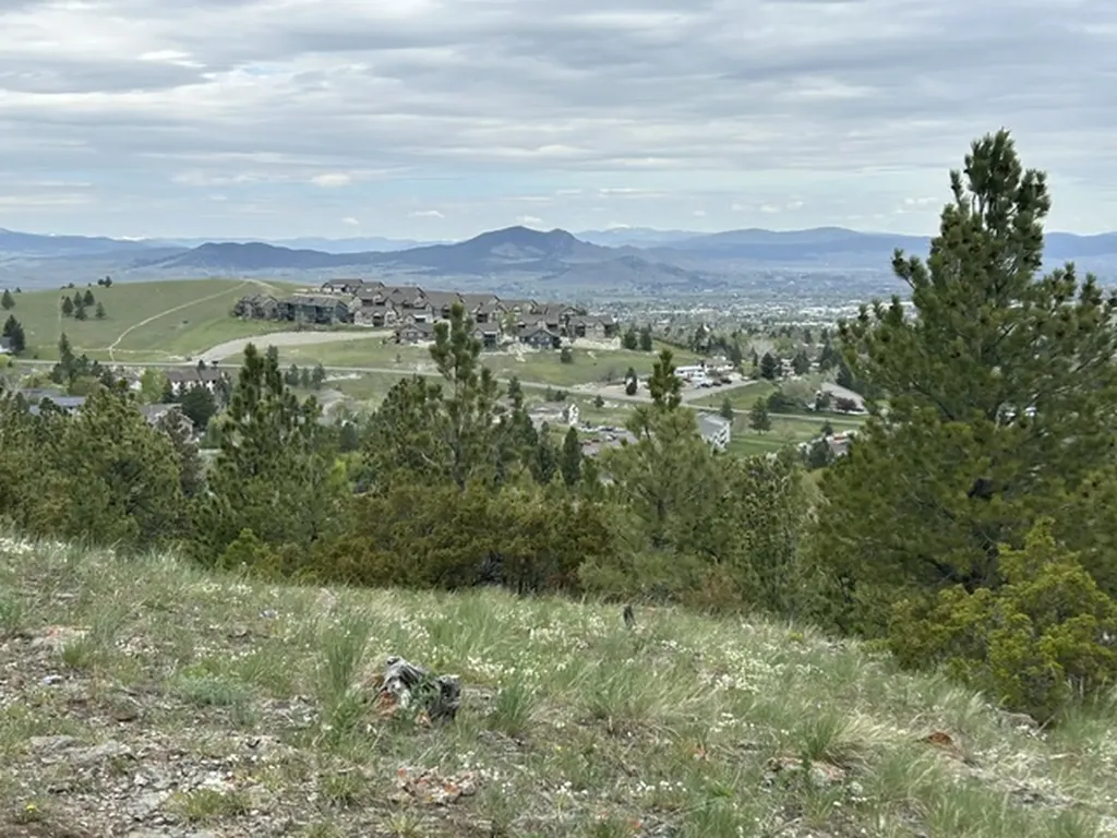 2511 Gold Rush Avenue Helena MT 59601