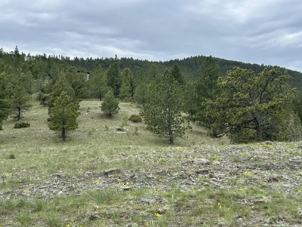 2511 Gold Rush Avenue Helena MT 59601