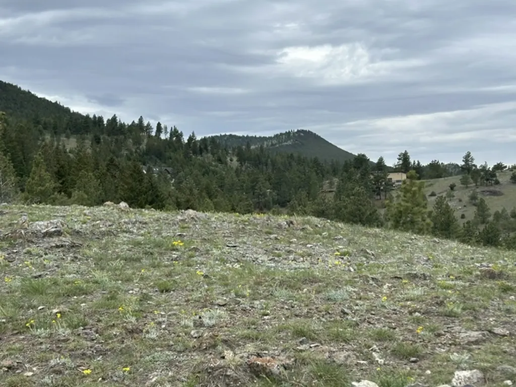 2511 Gold Rush Avenue Helena MT 59601