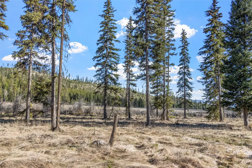 1500 Hodge Creek Road Kila MT 59920